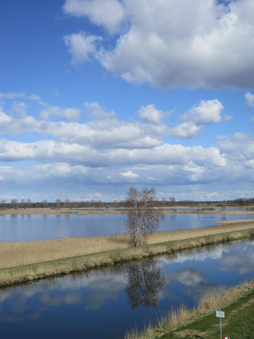 Osterspaziergang in der Lewitz