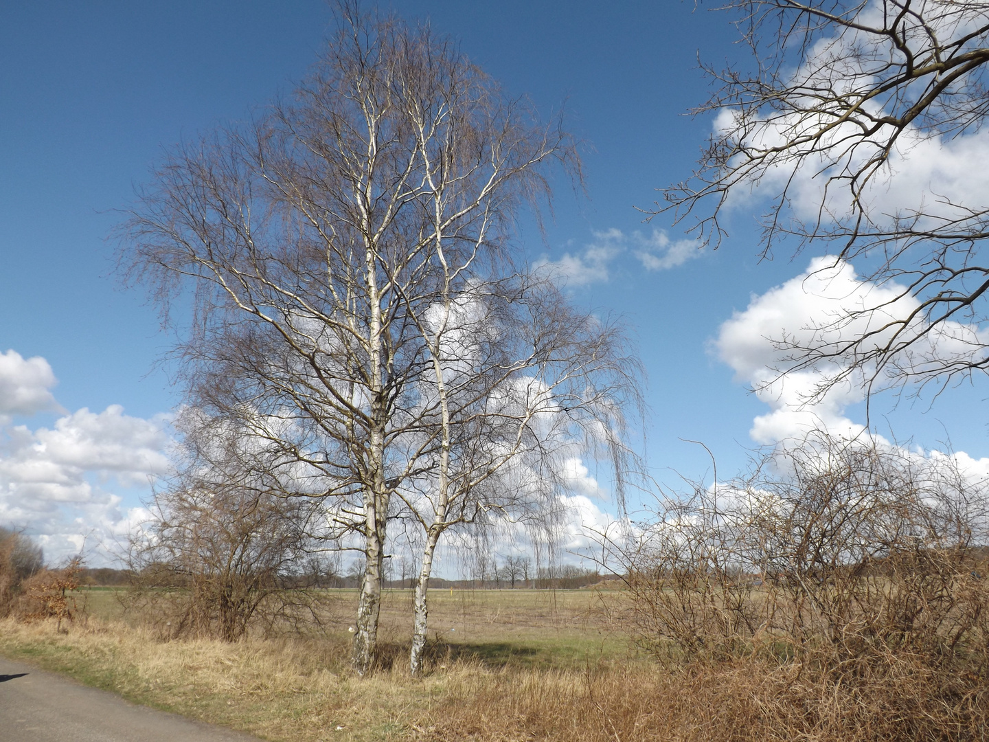 Osterspaziergang in Geltow 1