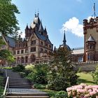 Osterspaziergang Schloss Drachenburg, Königswinter 