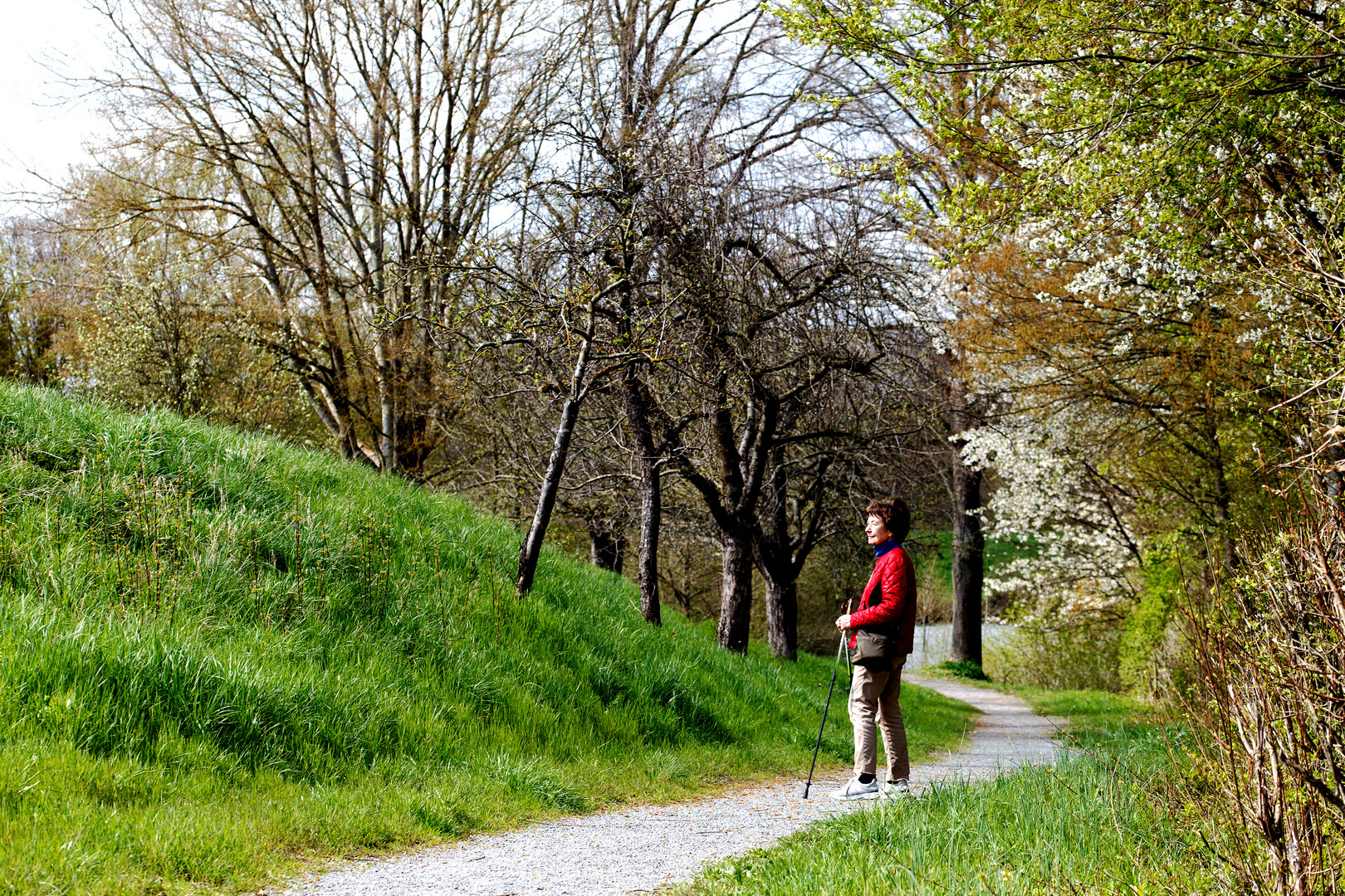 Osterspaziergang - Schlosswiesensee-Rundweg