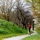 Osterspaziergang - Schlosswiesensee-Rundweg