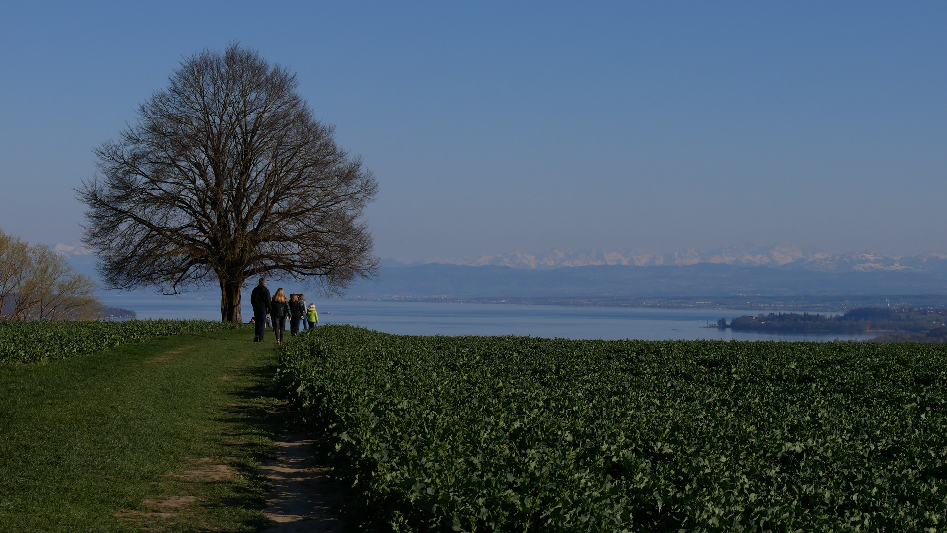 Osterspaziergang über dem Bodensee