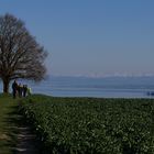 Osterspaziergang über dem Bodensee