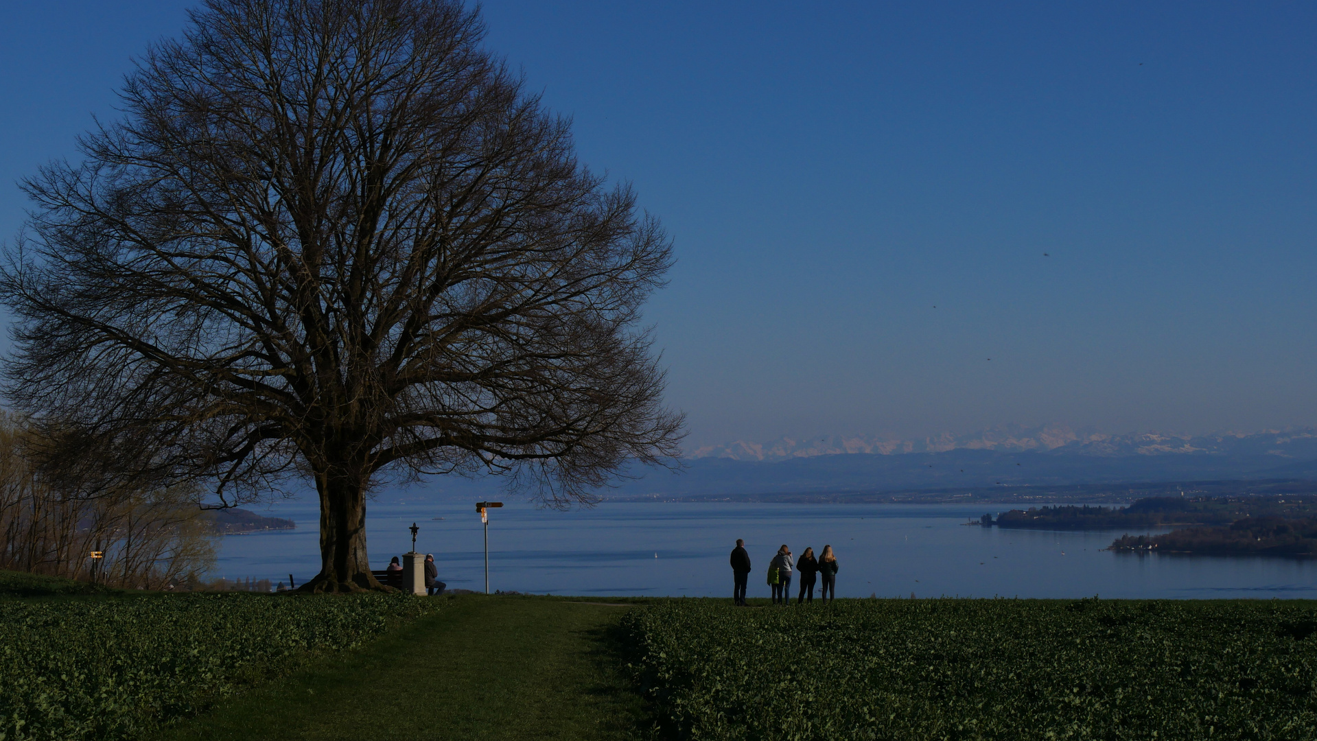 Osterspaziergang über dem Bodensee