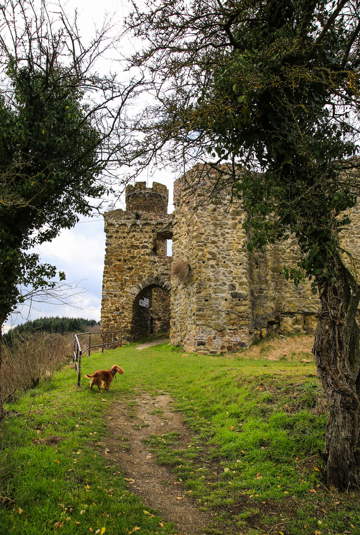 Osterspaziergang zur Burg Ardeck...02