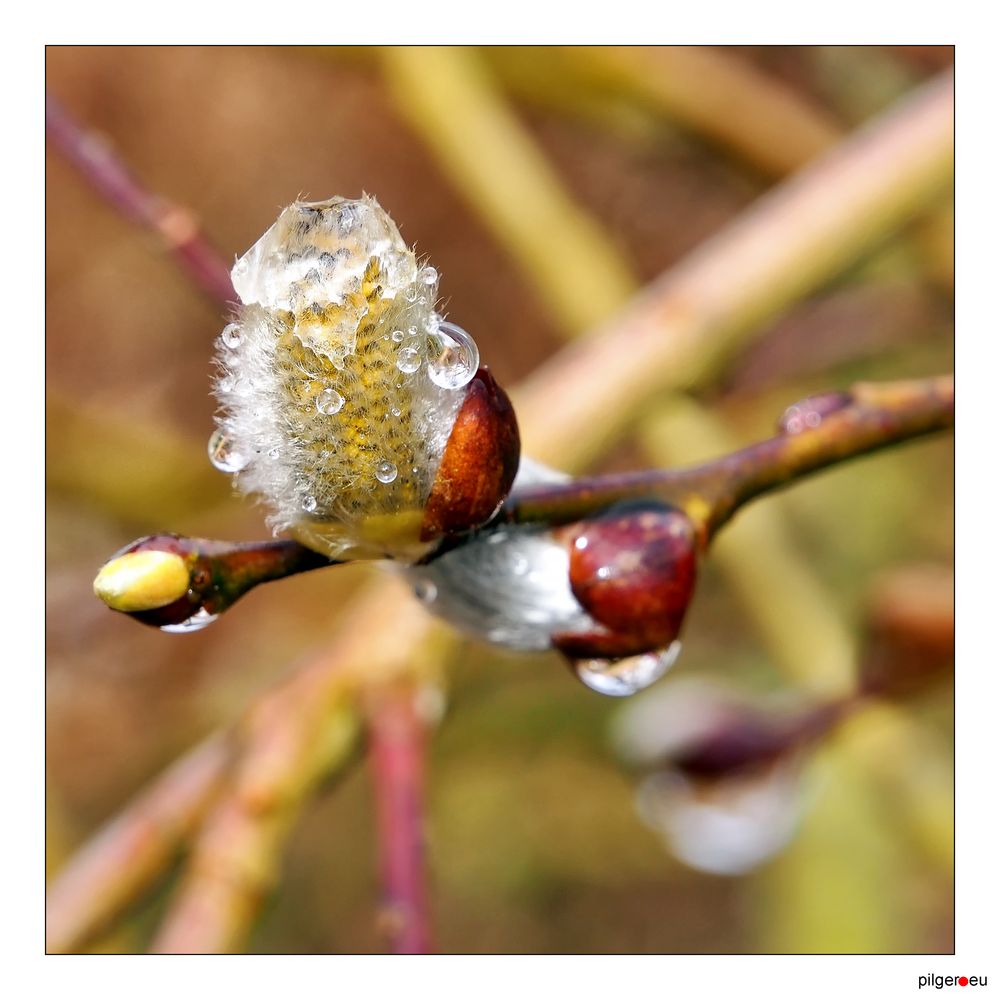 Osterspaziergangimpression