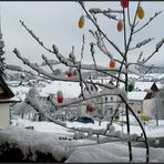 Osterüberraschung...