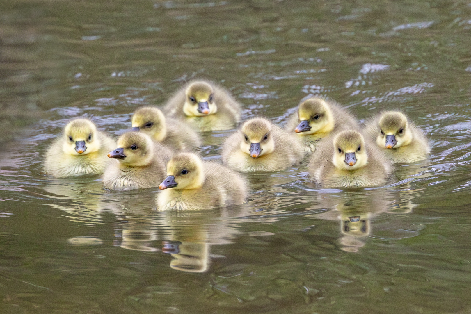 Osterüberraschung am Fluss