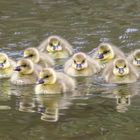 Osterüberraschung am Fluss