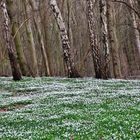 Osterurlaub Rügen/ Hiddensee 2022/ 2