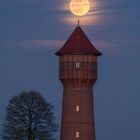 Ostervollmond 2022