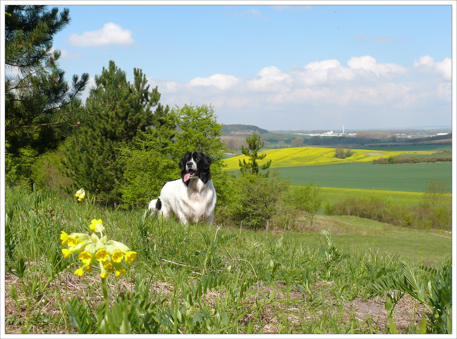 Osterwanderung