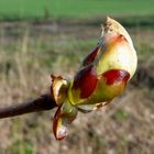 Osterwanderung 23.03.08