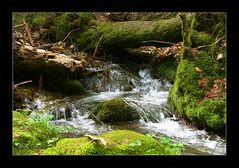 Osterwanderung im Schwarzwald.....