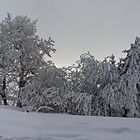 Osterwetter 2013