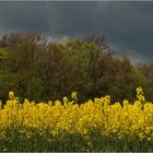 Osterwetter 2017