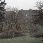 Osterwetter - der Frühling kommt.....irgendwann.....bestimmt....? ;)