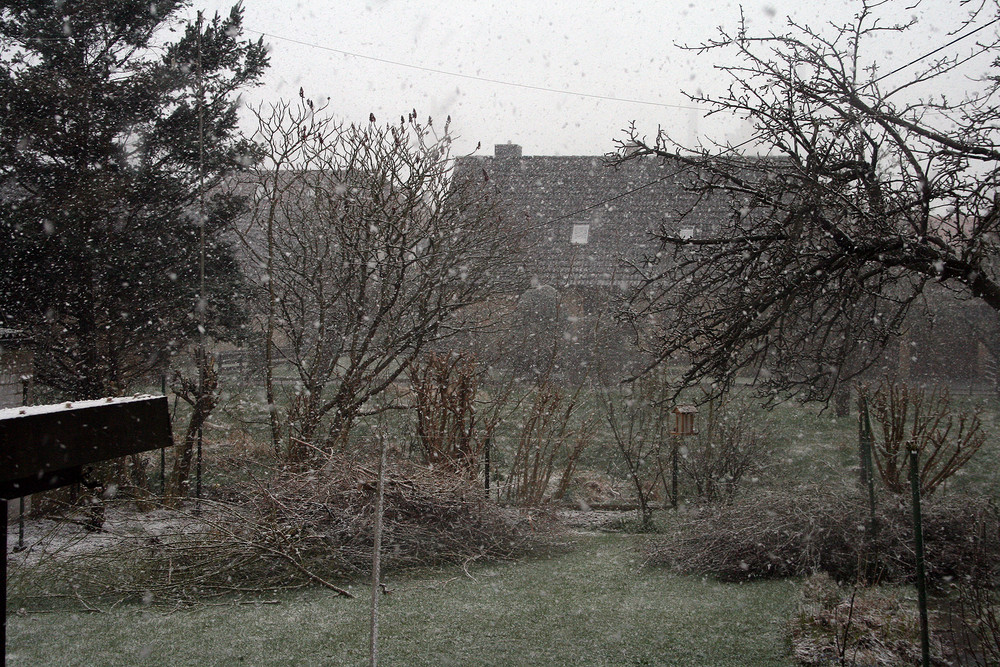 Osterwetter - der Frühling kommt.....irgendwann.....bestimmt....? ;)