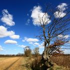 Osterwetter