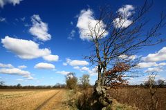 Osterwetter