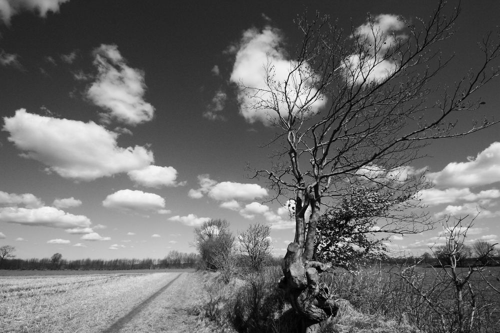 Osterwetter in sw