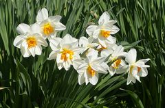 Osterwoche