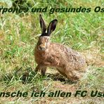 Osterwünsche für alle FC- User