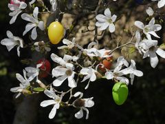 Osterzeit