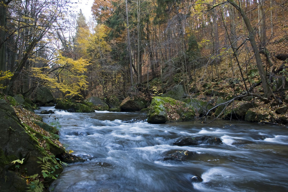 Osterzgebirge - Wesenitztal 1 ...