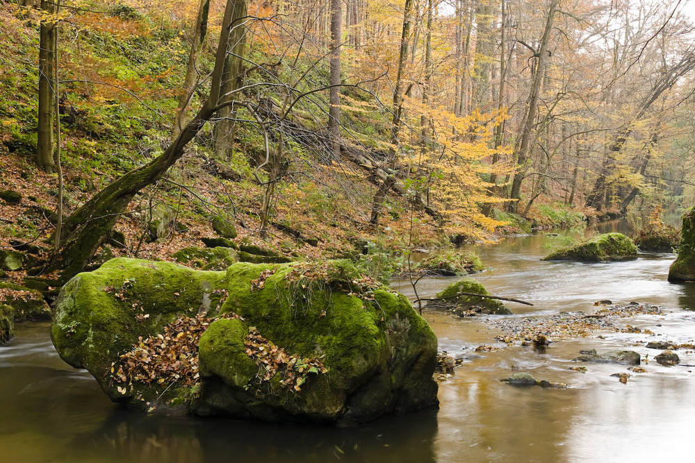 Osterzgebirge - Wesenitztal 3...