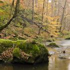 Osterzgebirge - Wesenitztal 3...