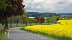 Osterzgebirge/Sachsen