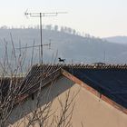 Ostfalen vor dem Stadtberg