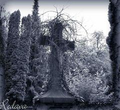 Ostfriedhof Aachen #02