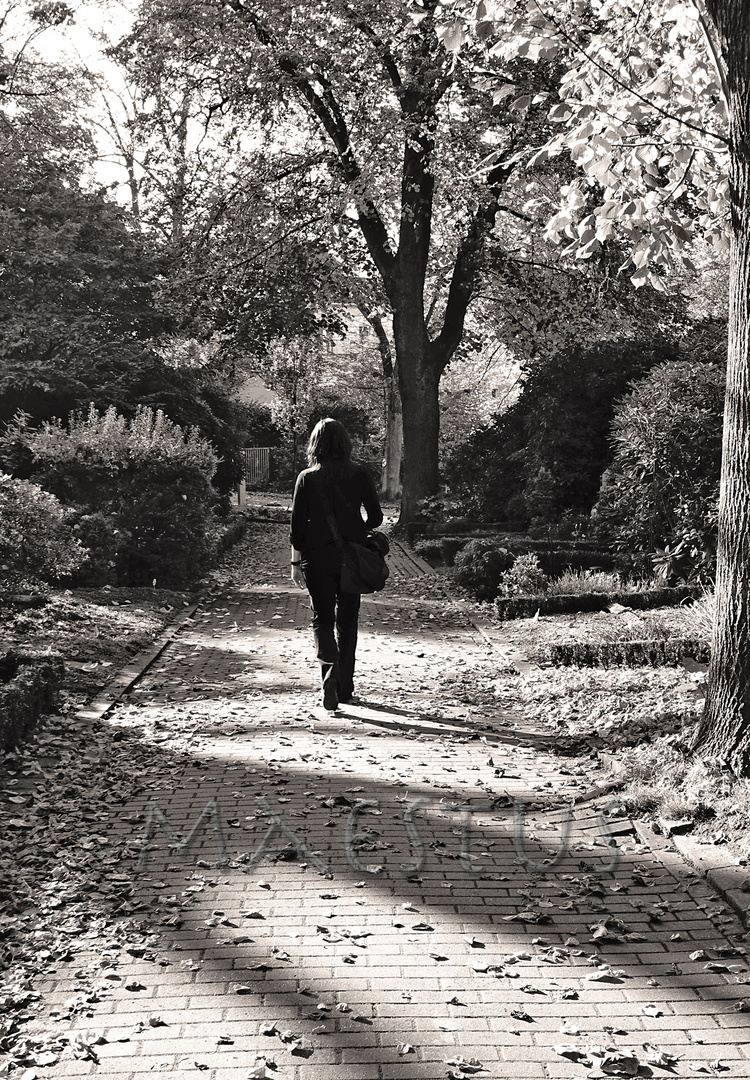 Ostfriedhof Essen