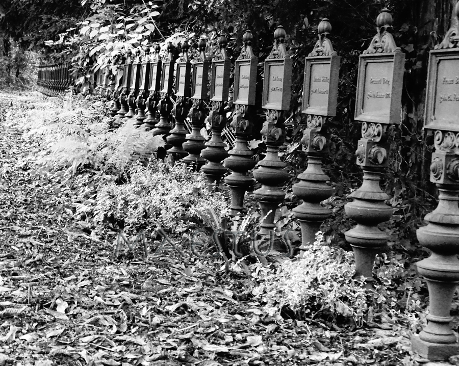 Ostfriedhof in Dortmund II