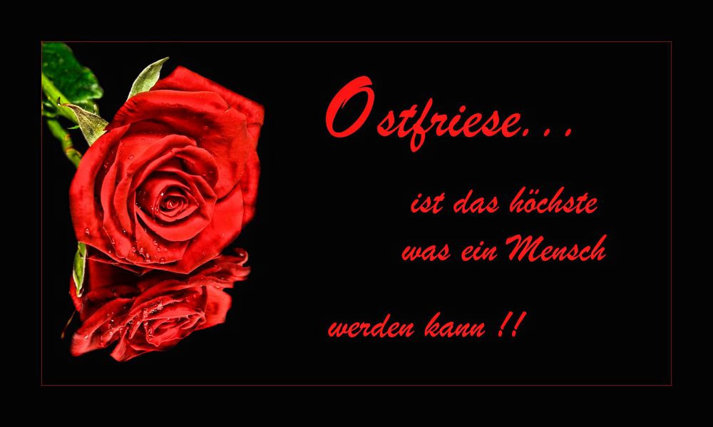 Ostfriese..... Foto & Bild stillleben, tabletop, motive Bilder auf