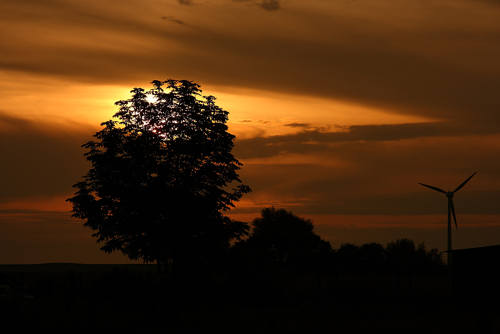 Ostfriesische Abendstimmung...