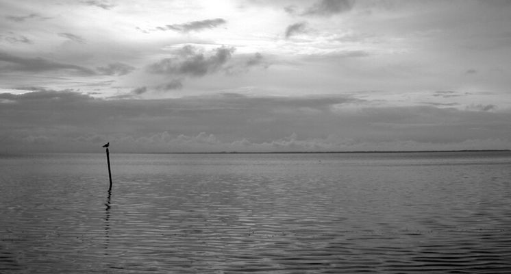 Ostfriesische Abendstimmung