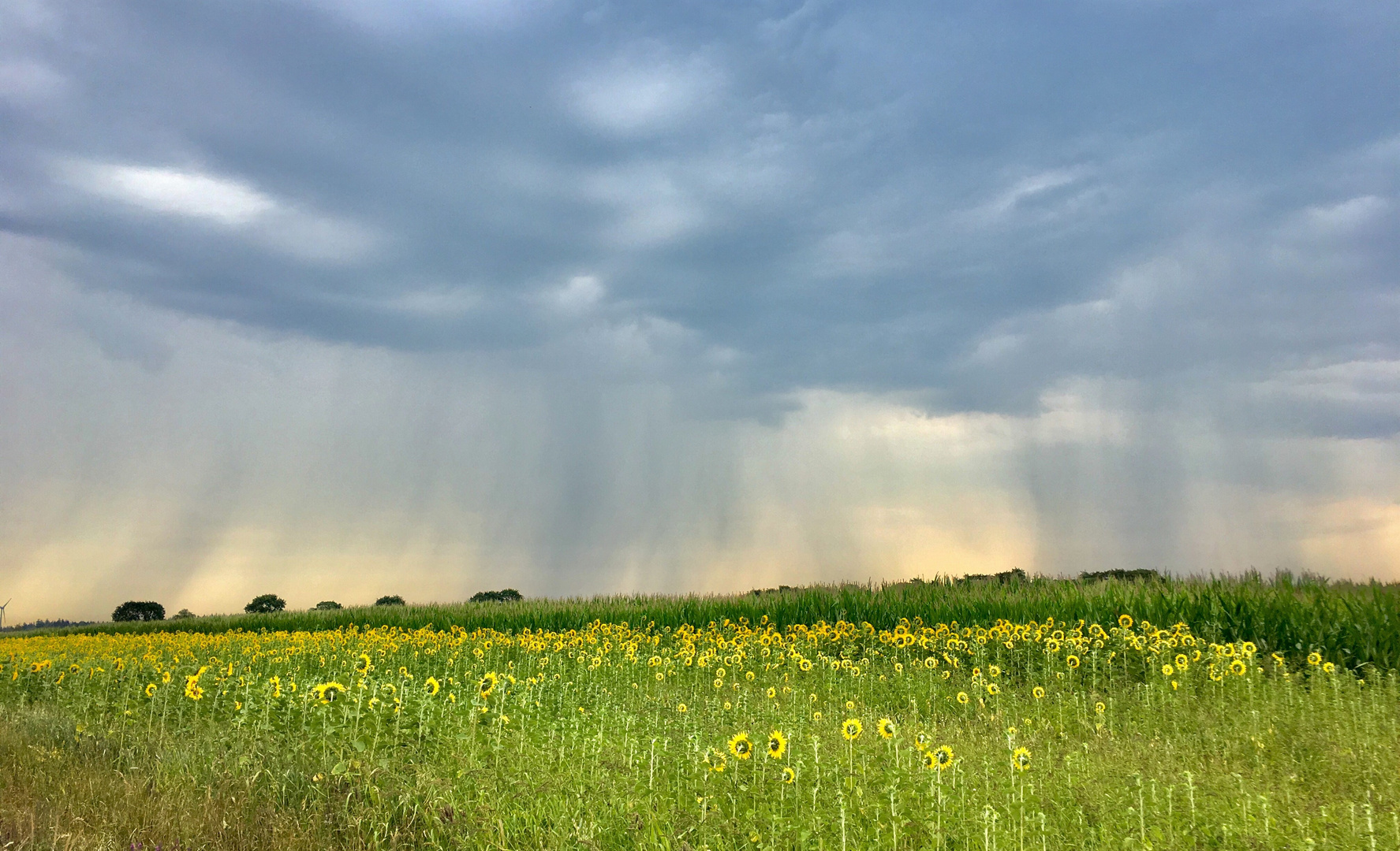 Ostfriesische Landschaft Foto Bild World Natur Landschaft Bilder Auf Fotocommunity