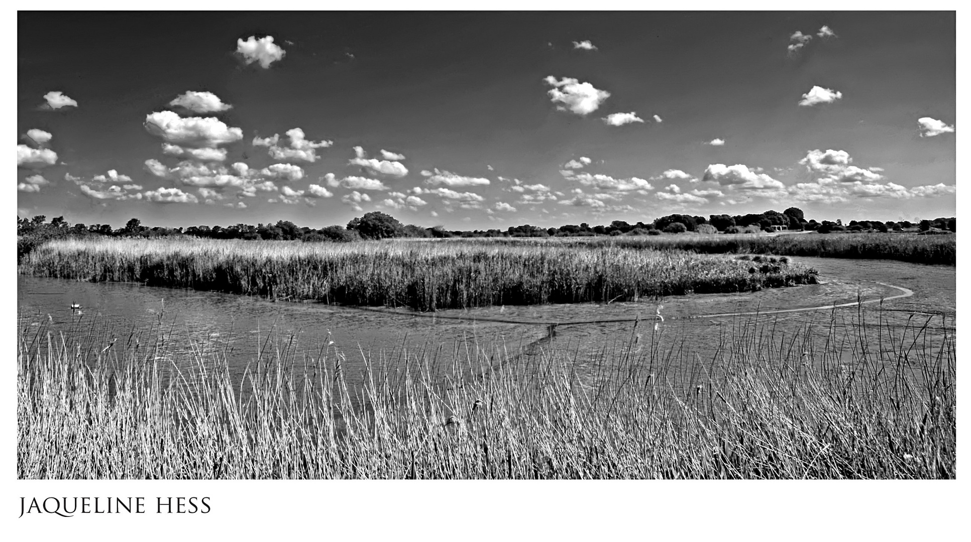 Ostfriesische Landschaft und Weite.