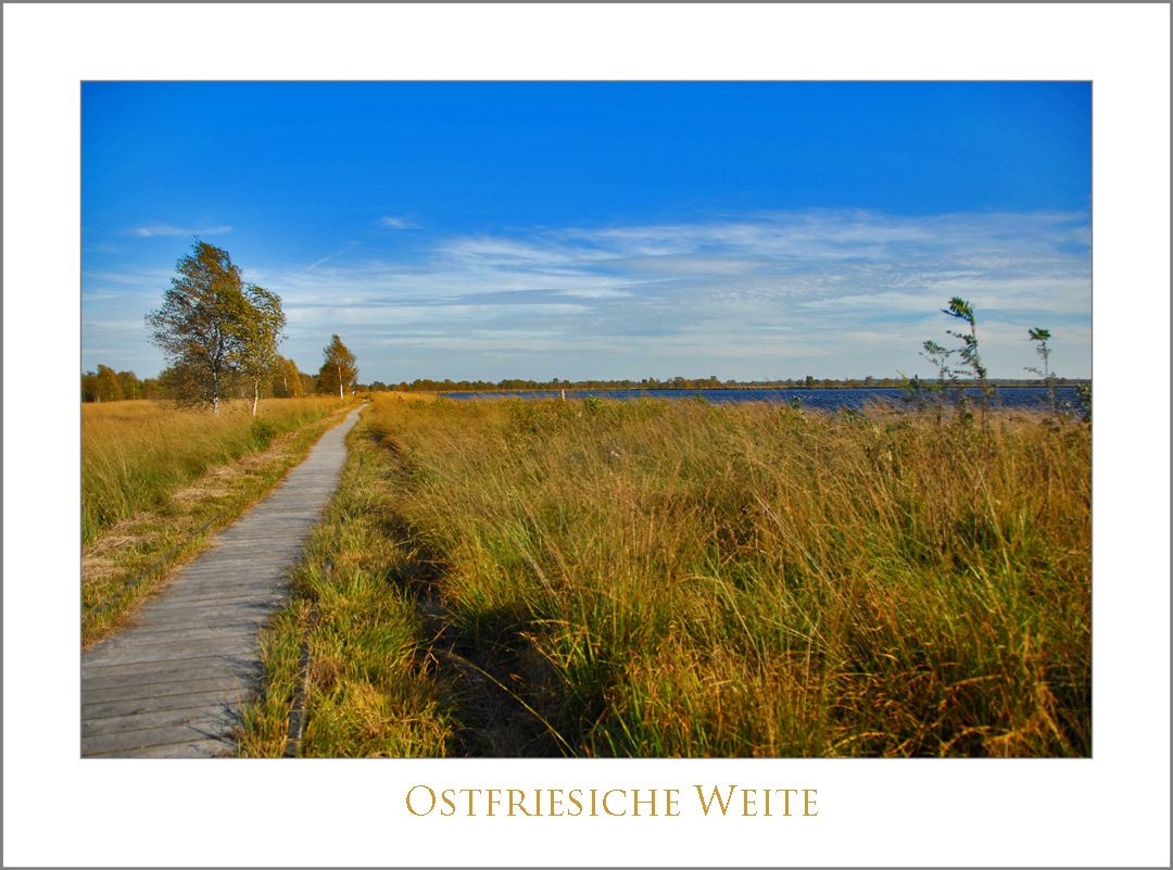 OSTFRIESISCHE WEITE *3