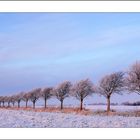 Ostfriesische Winterlandschaft