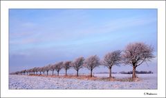 Ostfriesische Winterlandschaft