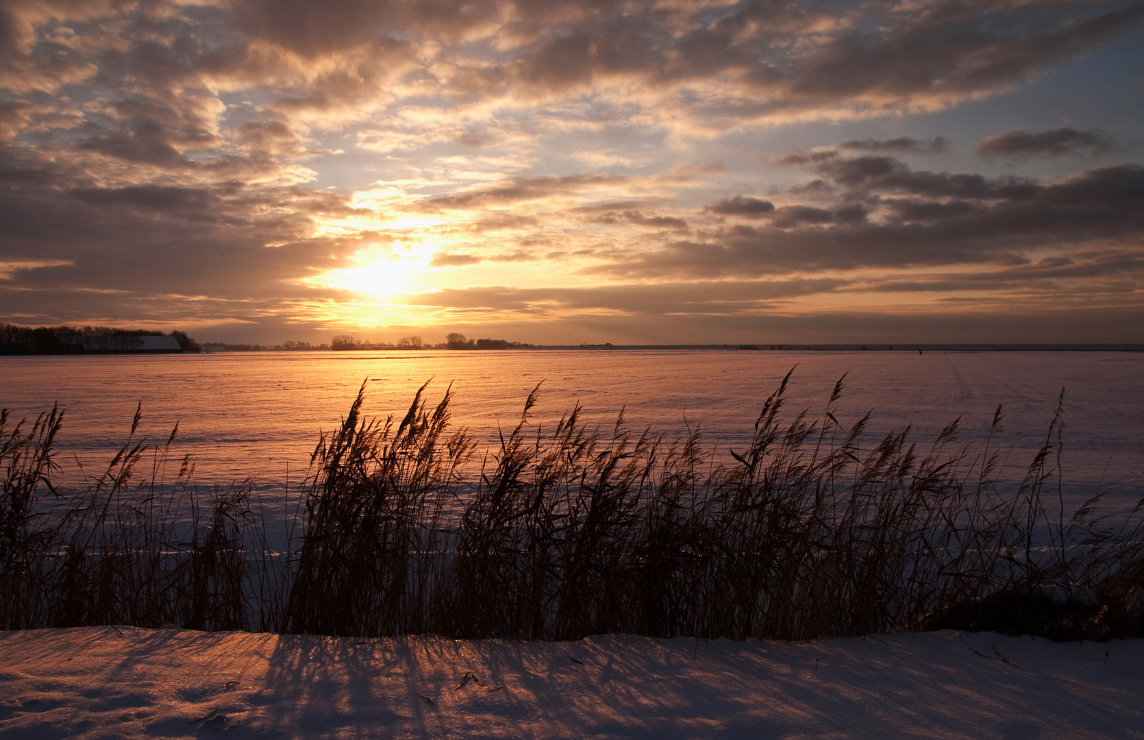 Ostfriesische Winterlandschaft X...