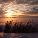 Ostfriesische Winterlandschaft X...