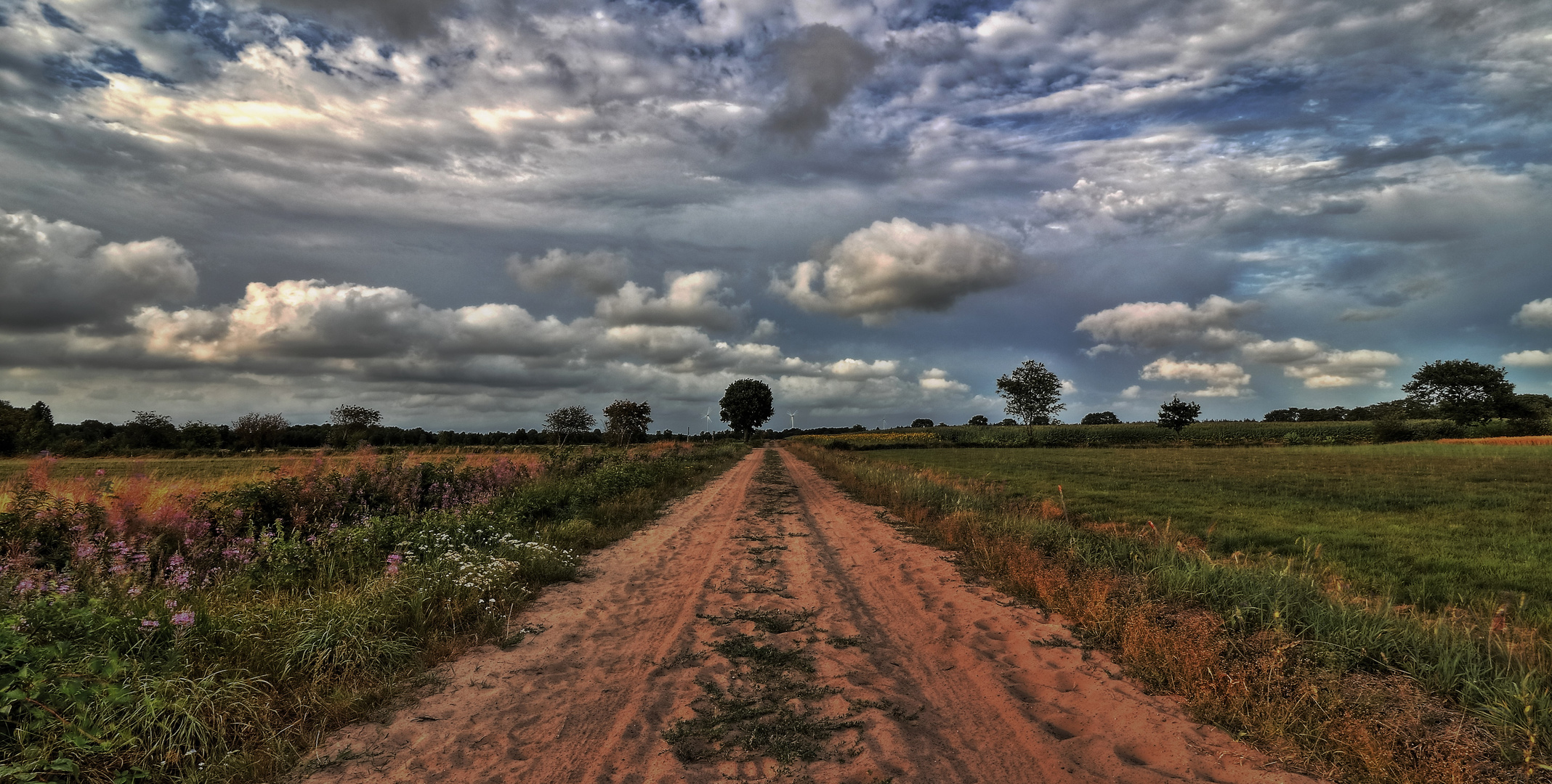 OstfriesischeLandschaft: Feldweg zum Moor