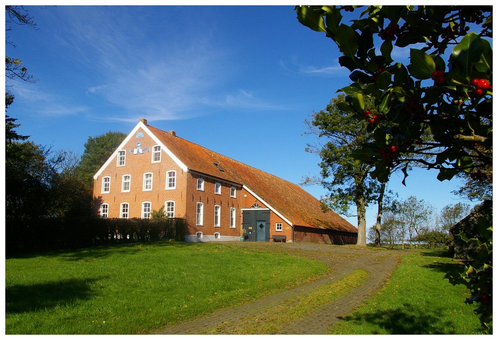 Ostfriesischer Gulfhof in Ostermarsch Foto &amp; Bild | architektur ...