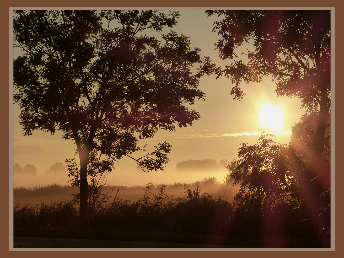 OSTFRIESISCHER SONNENAUFGANG