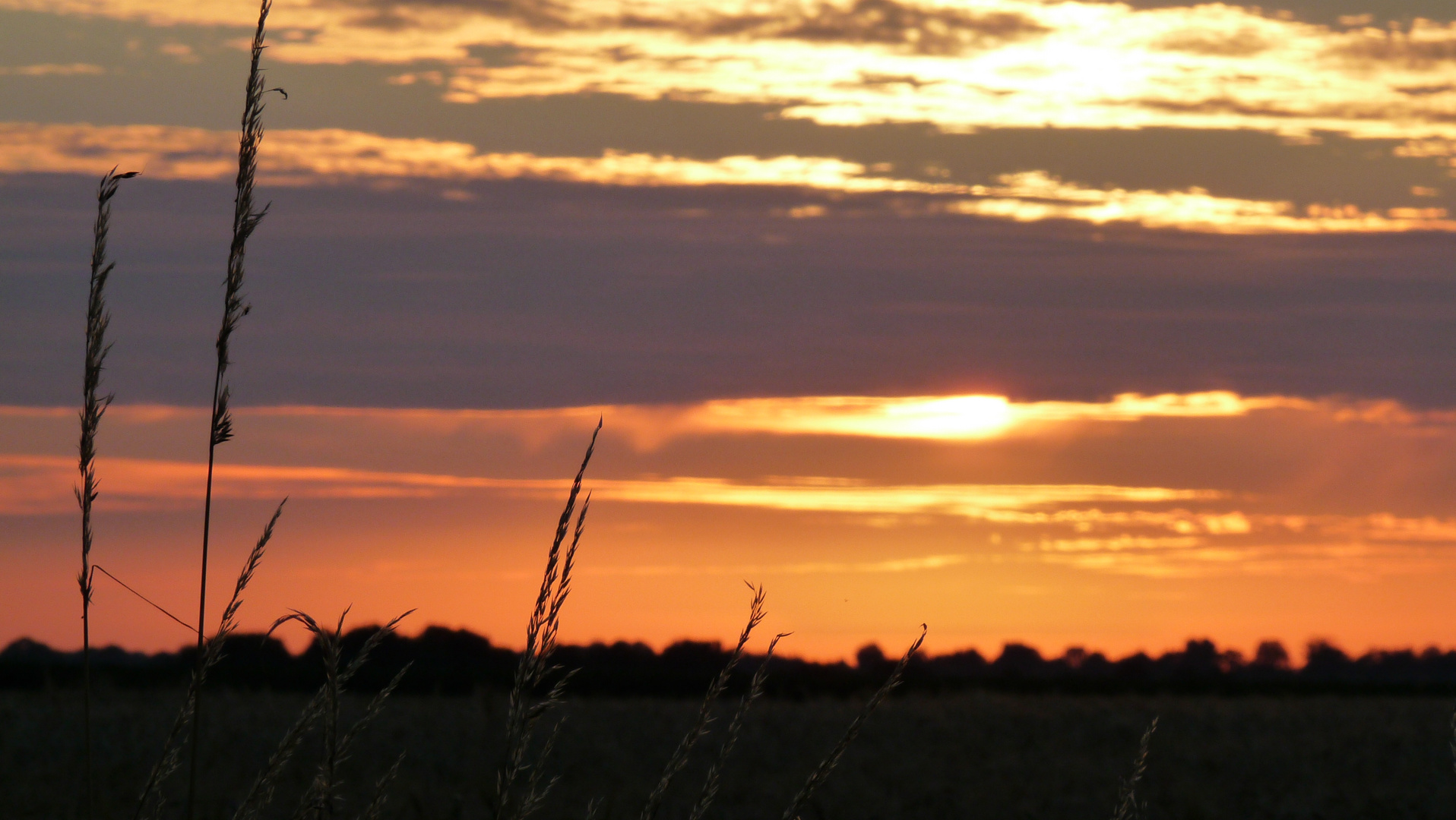 Ostfriesischer Sonnenuntergang